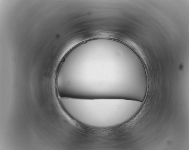X0000095121235200712070935