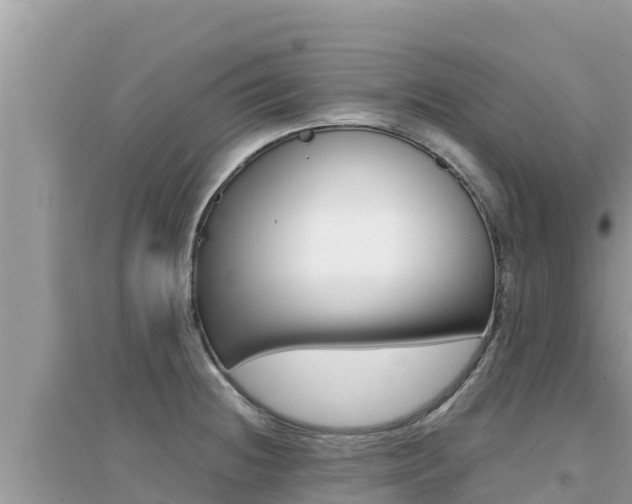 X0000095121236200712070935