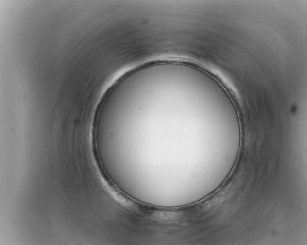 X0000095121237200712070935