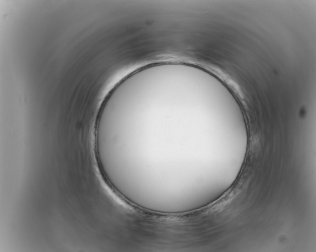 X0000095121239200712070935