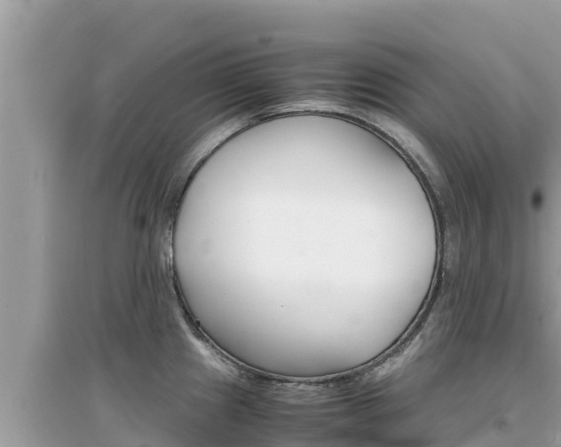 X0000095121241200712070935