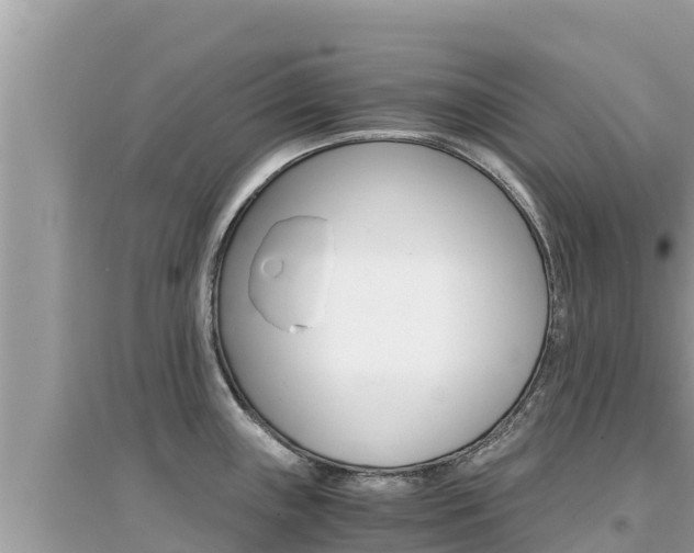 X0000095121243200712070935