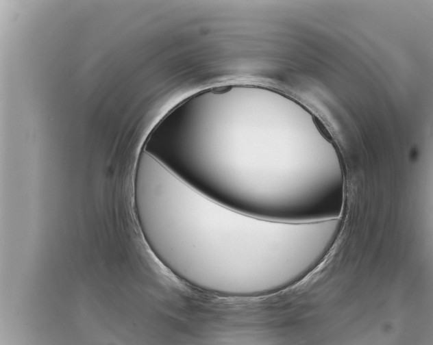 X0000095121244200712070935