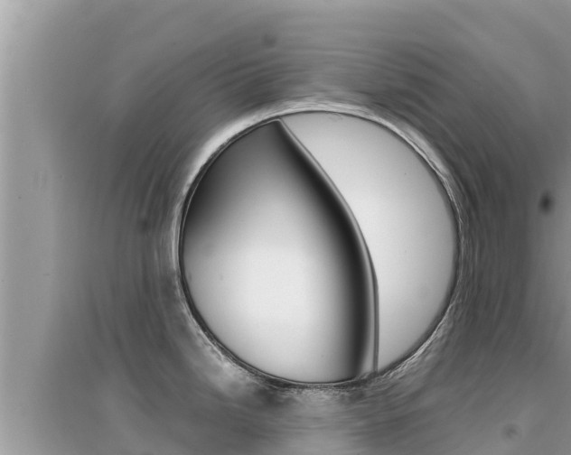 X0000095121246200712070935
