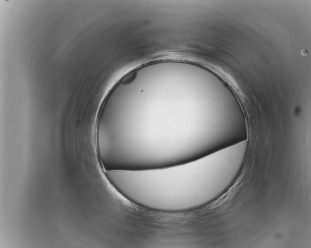 X0000095121247200712070935