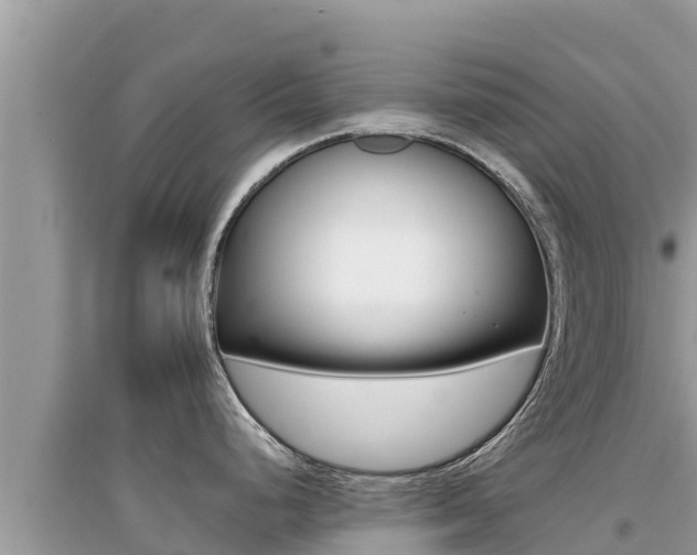 X0000095121248200712070935