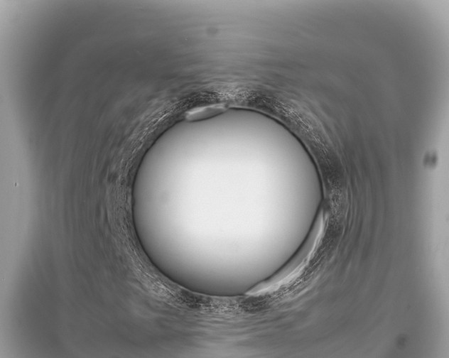 X0000095121249200712070935