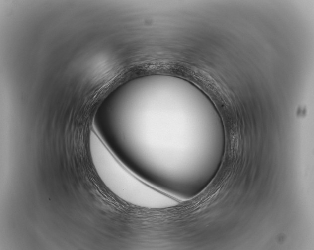 X0000095121250200712070935