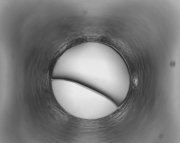 X0000095121252200712070935