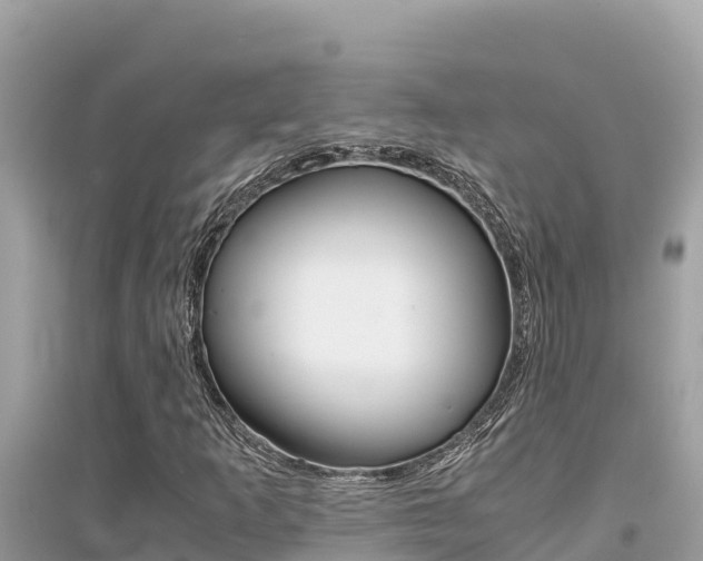 X0000095121253200712070935