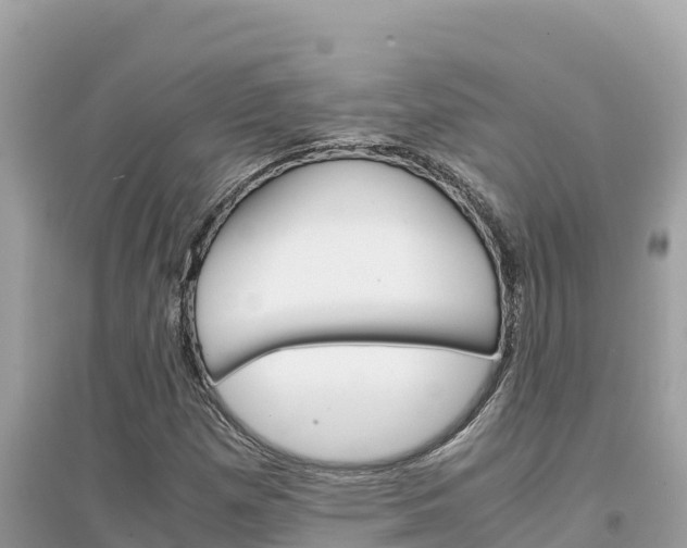 X0000095121257200712070935