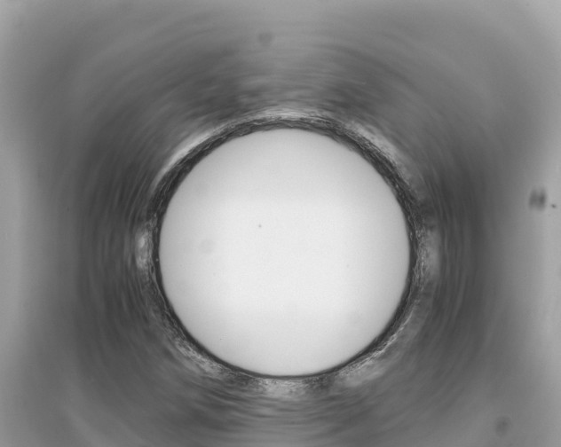 X0000095121258200712070935