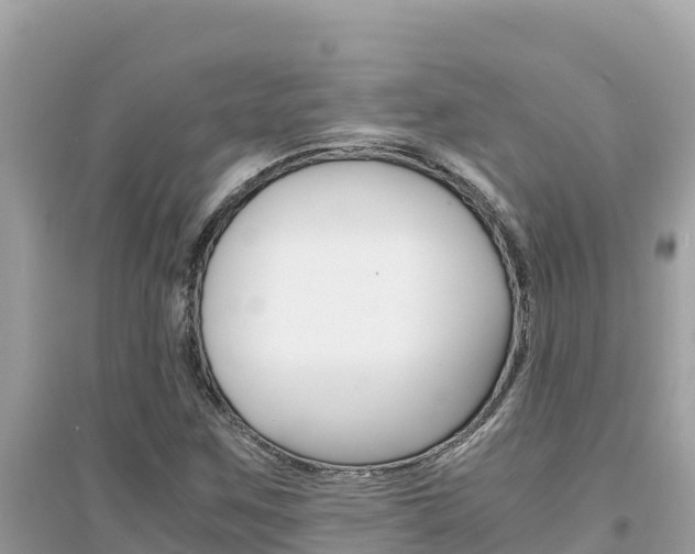 X0000095121259200712070935
