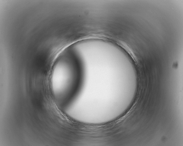 X0000095121260200712070934