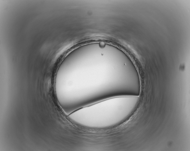 X0000095121261200712070934