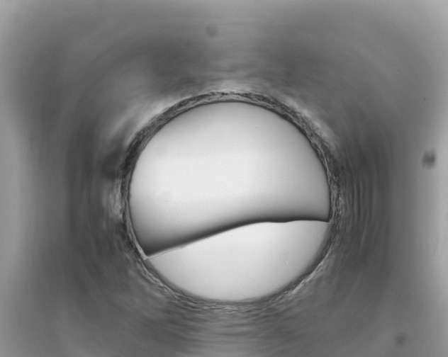 X0000095121262200712070934