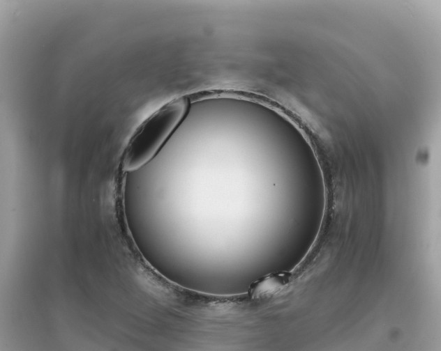 X0000095121264200712070934