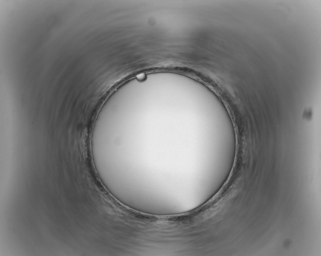 X0000095121265200712070934