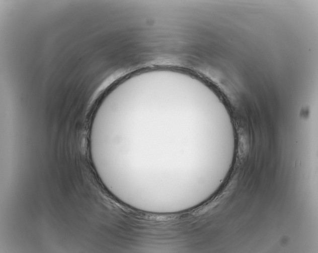X0000095121266200712070934