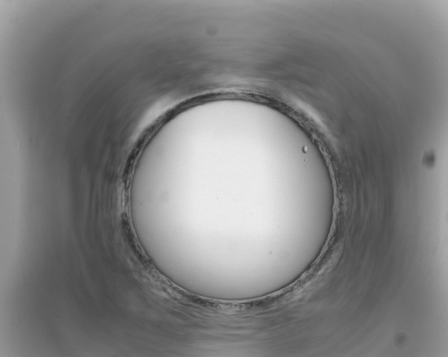 X0000095121267200712070934