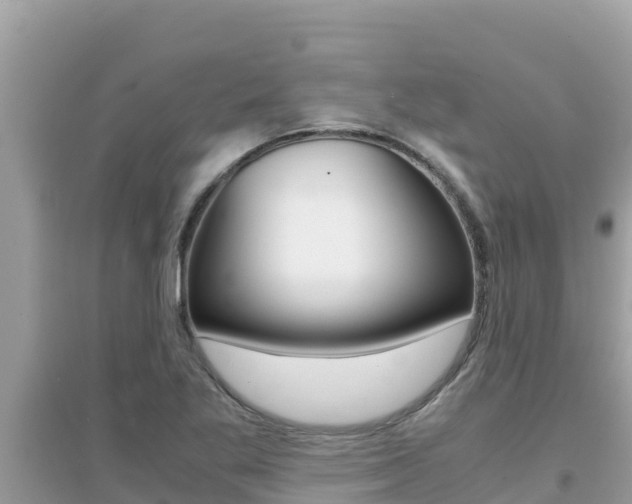 X0000095121269200712070934