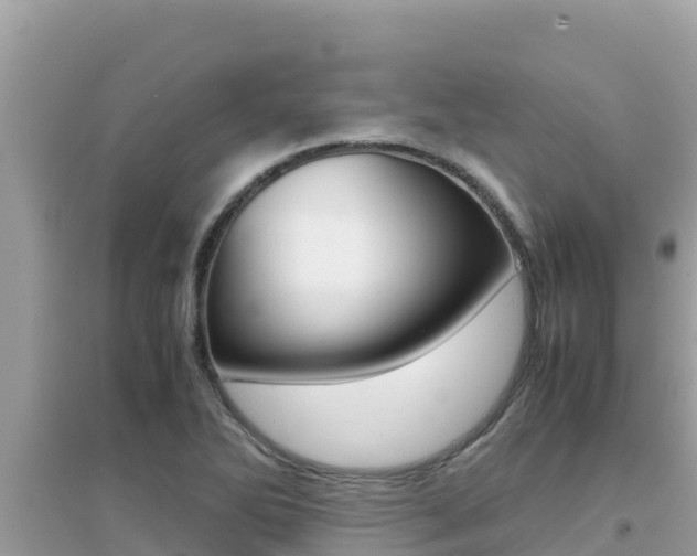 X0000095121270200712070934