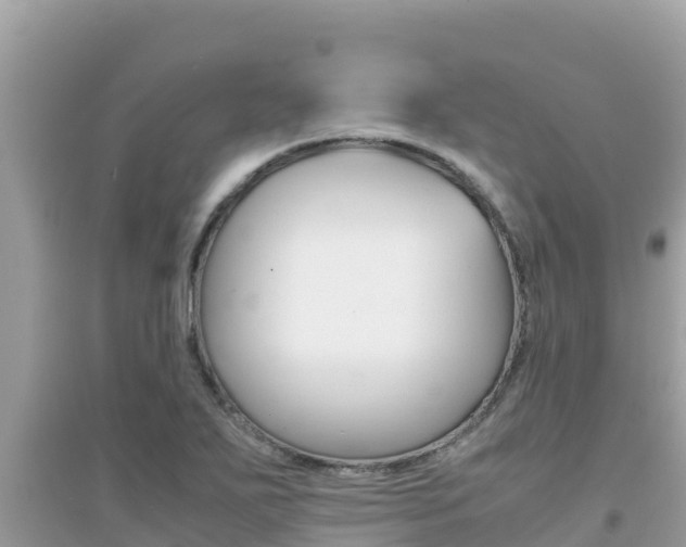 X0000095121271200712070934