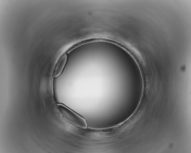 X0000095121272200712070934