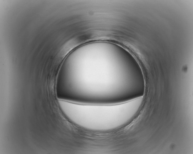 X0000095121273200712070934