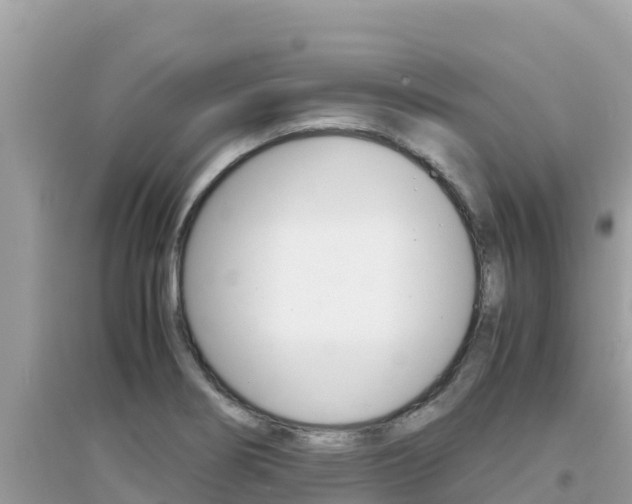 X0000095121274200712070934