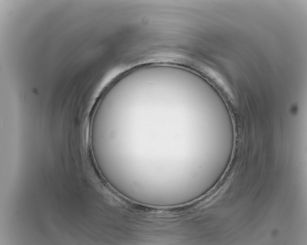 X0000095121275200712070934