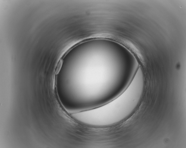 X0000095121276200712070934