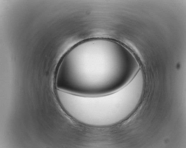 X0000095121277200712070934
