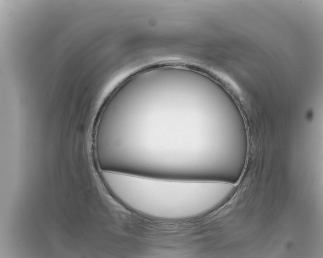 X0000095121279200712070934