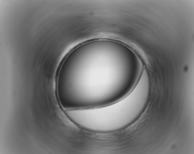 X0000095121280200712070934