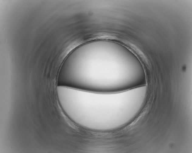 X0000095121281200712070934