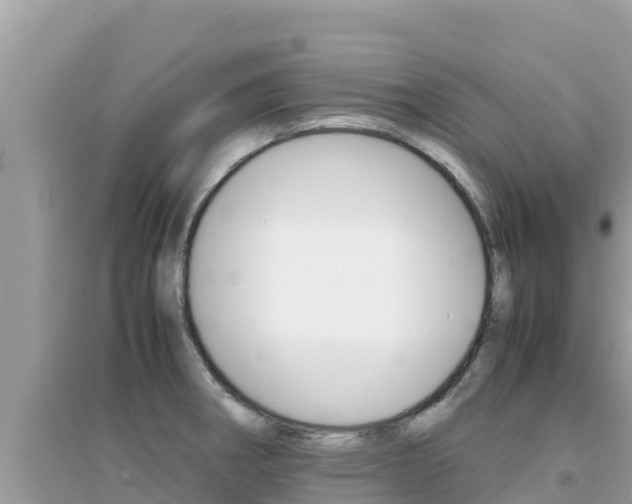 X0000095121282200712070934