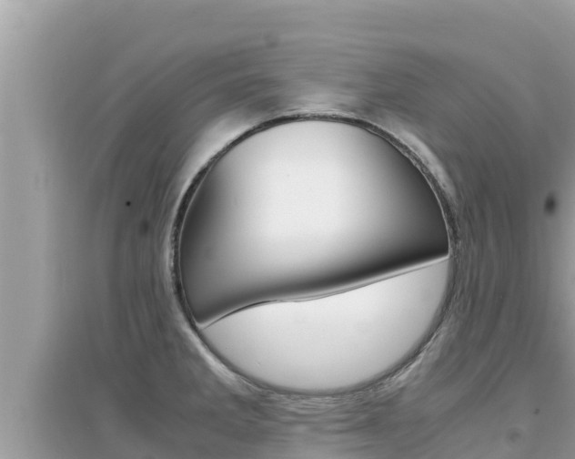 X0000095121285200712070934