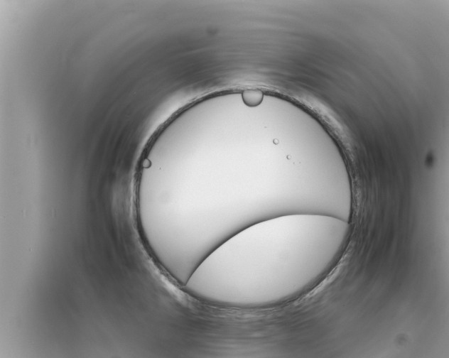 X0000095121286200712070934
