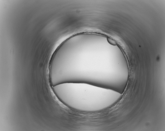 X0000095121287200712070934