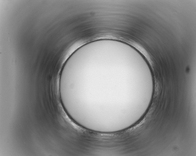 X0000095121290200712070934