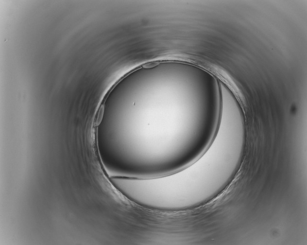 X0000095121292200712070934