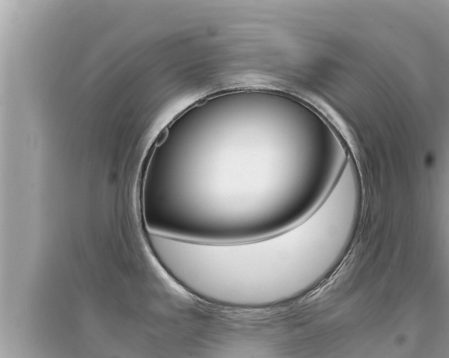 X0000095121293200712070934