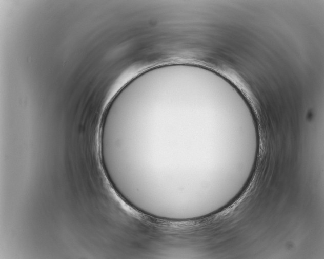 X0000095121294200712070934