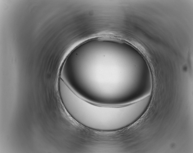 X0000095121296200712070934
