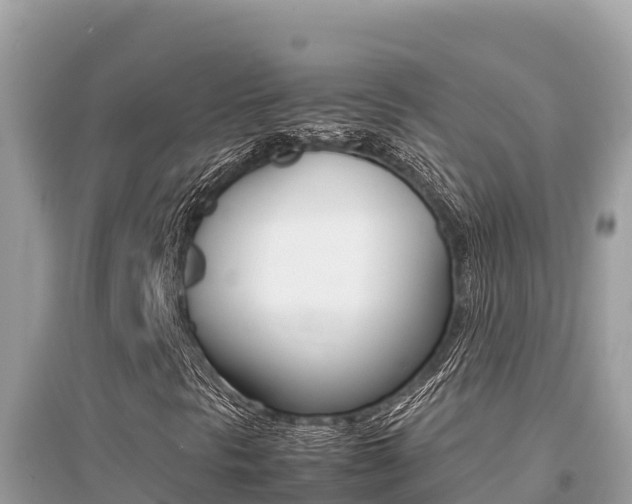 X0000095121297200712070933