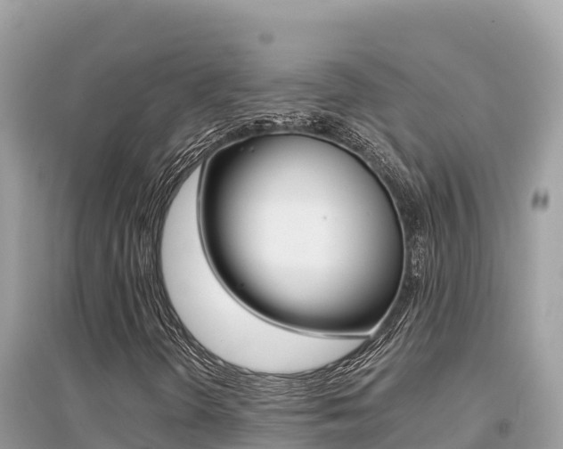 X0000095121298200712070933
