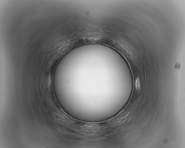 X0000095121299200712070933