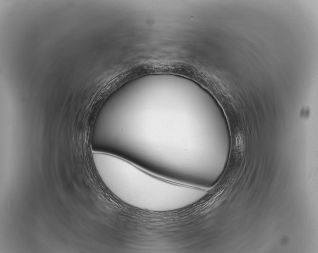 X0000095121300200712070933