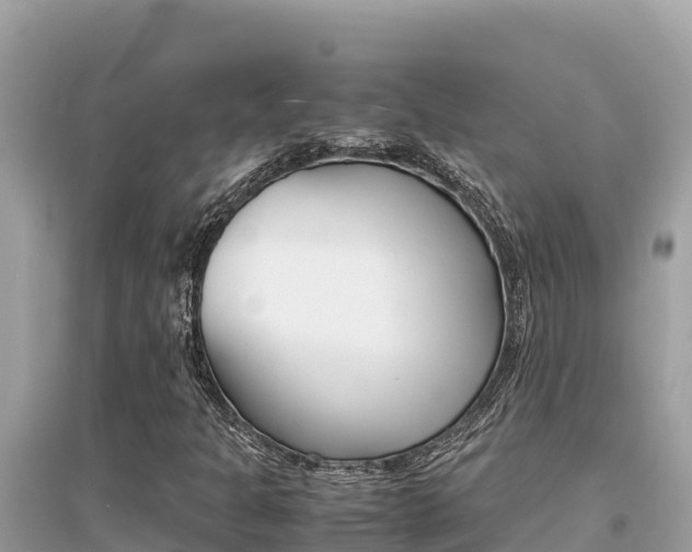 X0000095121301200712070933